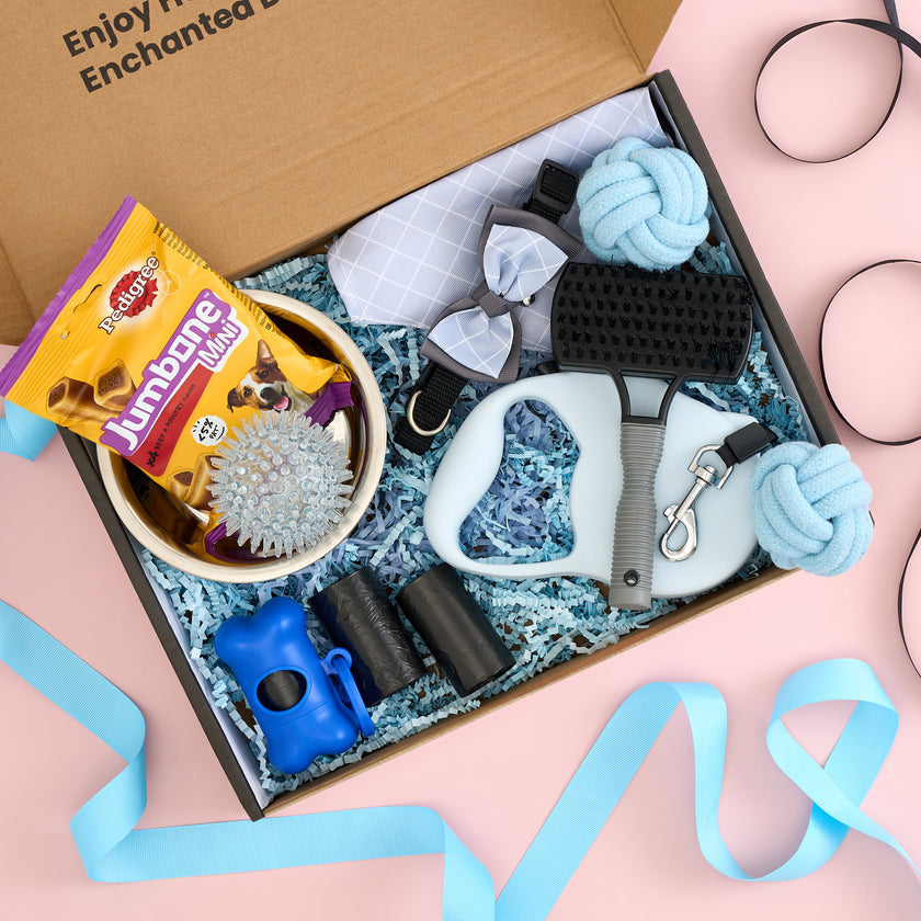 🐾 The Enchanted Pup Box