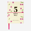 Minute Diary