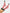 Pink Floral Socks